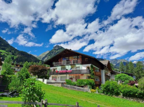 Appartement Ahrntal